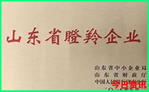 夏天最凉快的地方是哪